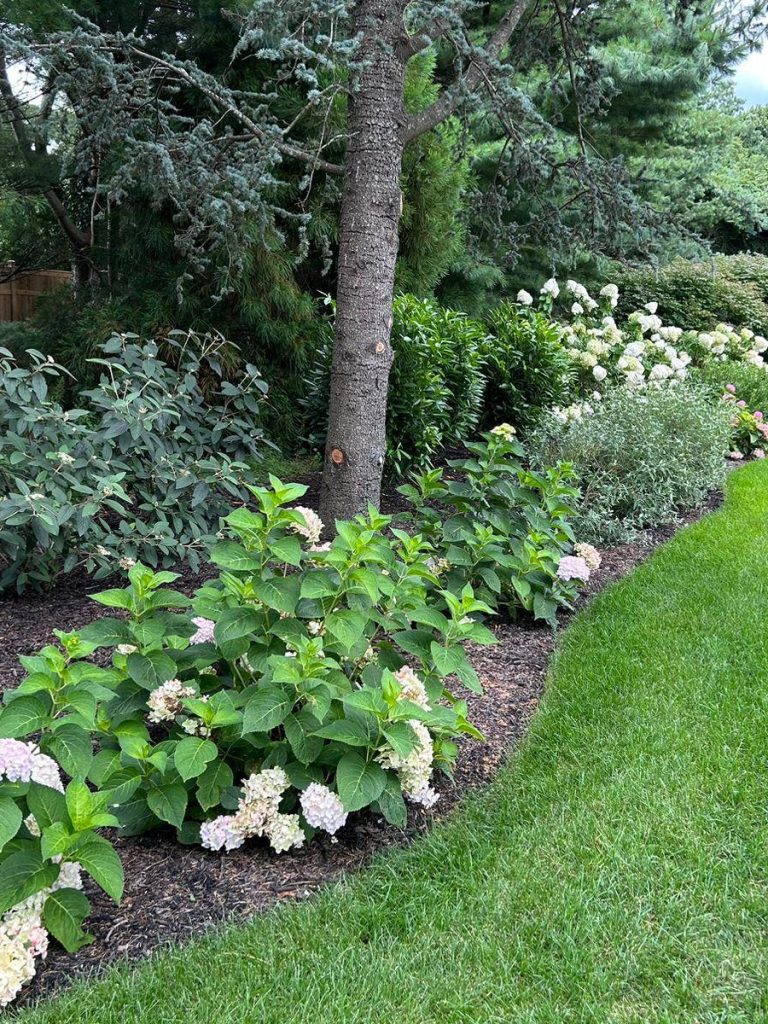 Cedar Fields Landscaping Calverton NY 022
